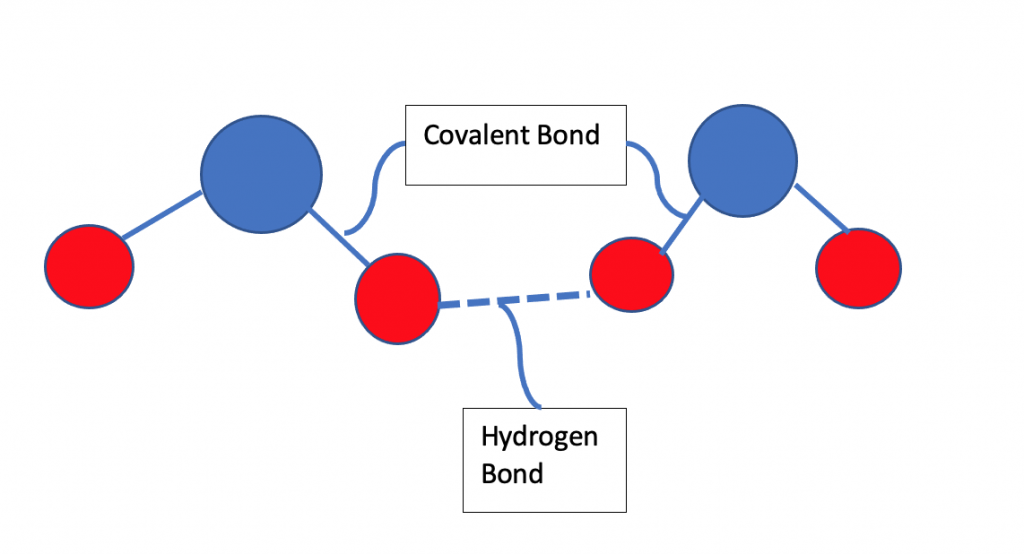 Intermolecular forces, Hydrogen bonding, Covalent bonding, Water